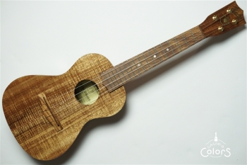 C-G/V -Concert- Gold